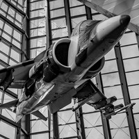 Harrier on Display