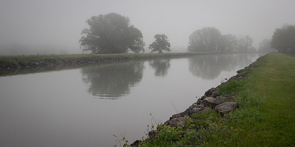 Foggy Stroll