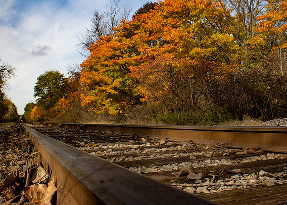 Rails Through Autumn