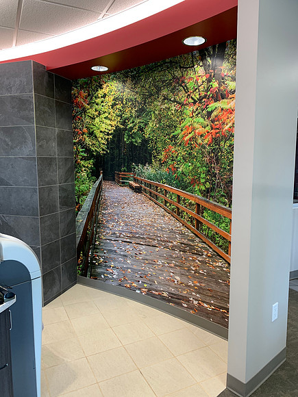 Mural image from Great Bahre Swamp