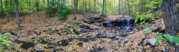 Nature Trail Panorama