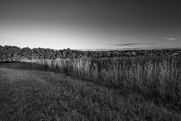 Lytle Nature Trail