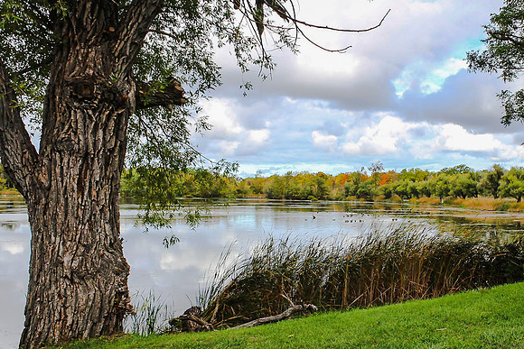 Bond Lake