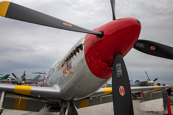 P-51 "Mad Maxx"
