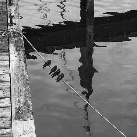 Marina Friends