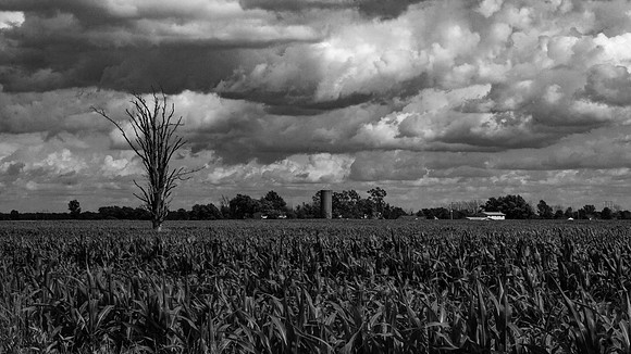 Rural Drama