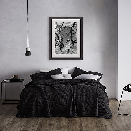 Lone Sycamore Framed Print