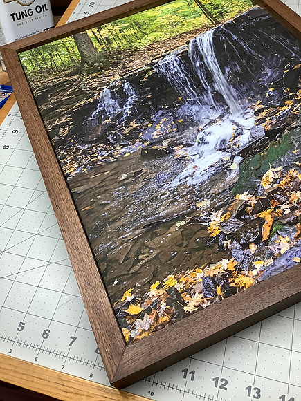 Famed Canvas Print detail