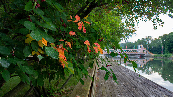 Summer Walk Along Market Street
