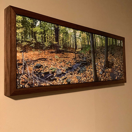 Nature Trail Panorama framed Canvas Print