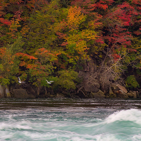 Autumn in the Gorge