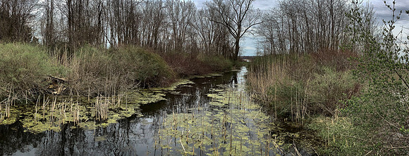 Iroquois Wildlife Reserve