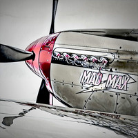 P51 Mad Max detail