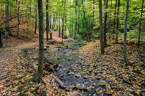 Nature-Trail